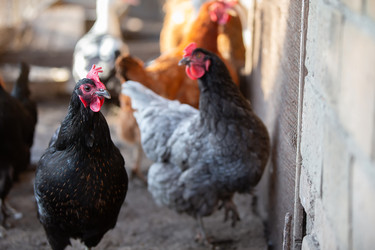 Similar image 22277867