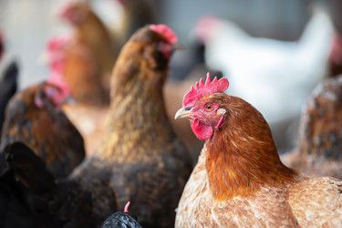 Similar image 22277869