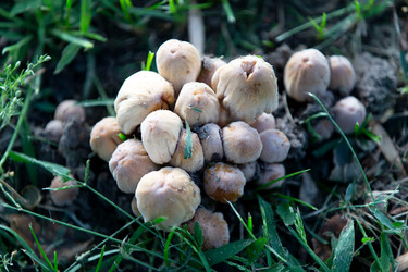 Similar image 22277870