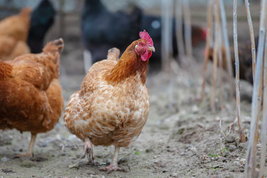 Similar image 22277876