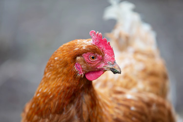 Similar image 22277879