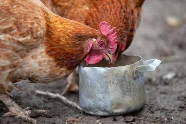 Similar image 22277881