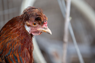 Similar image 22277883