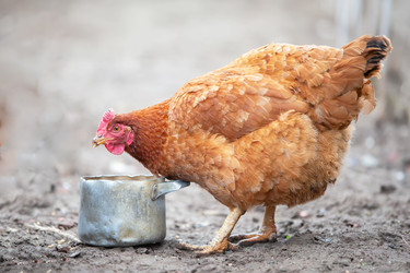 Similar image 22277884