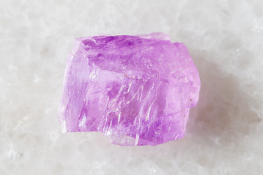 Similar image 22275959