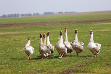 Similar image 22277417