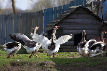 Similar image 22277420