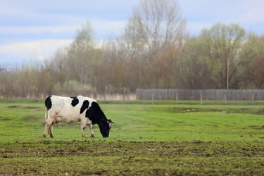 Similar image 22277425