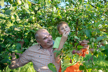 Similar image 22277431