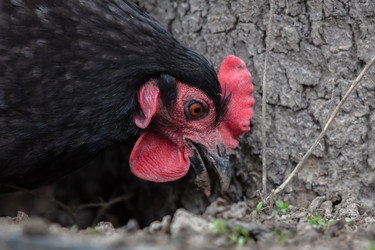 Similar image 22277441