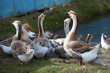 Similar image 22277453