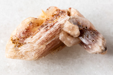 Similar image 22276344