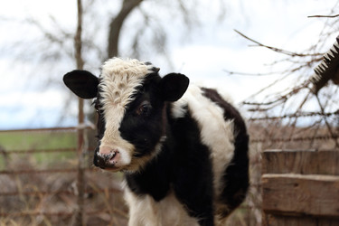 Similar image 22277961