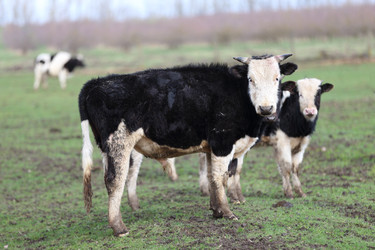 Similar image 22277963