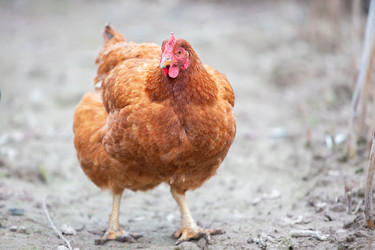 Similar image 22277980