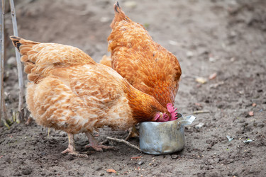 Similar image 22277985