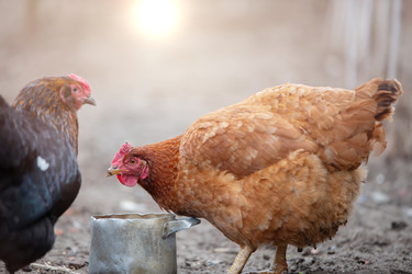 Similar image 22277990