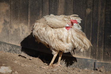 Similar image 22277992