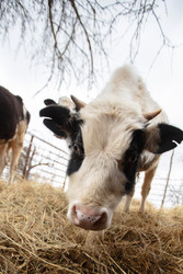 Similar image 22277027