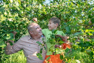 Similar image 22277036