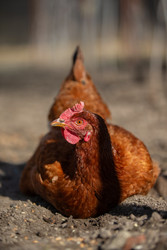 Similar image 22277049