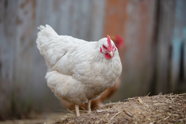 Similar image 22277053