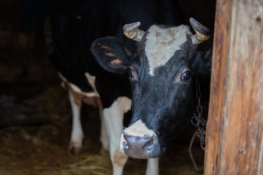 Similar image 22277460