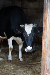 Similar image 22277463