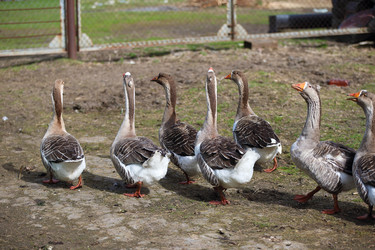 Similar image 22277465