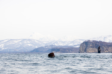 Similar image 22276029