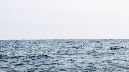 Similar image 22276402