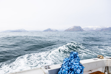 Similar image 22276406