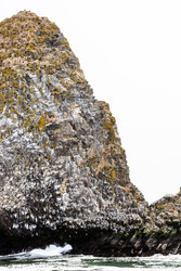 Similar image 22276408