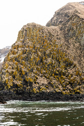 Similar image 22276409