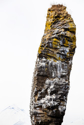 Similar image 22276411