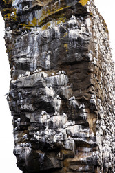 Similar image 22276412