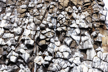 Similar image 22276413