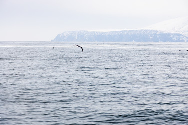 Similar image 22276414