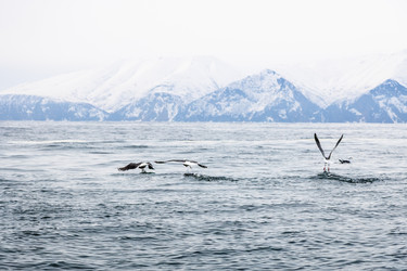 Similar image 22276415