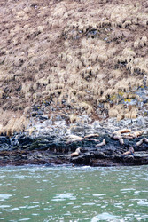 Similar image 22276416