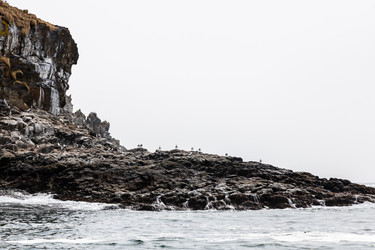 Similar image 22276417