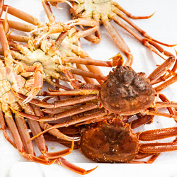 Similar image 22276418