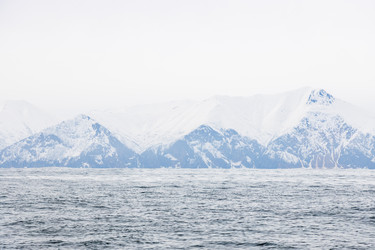 Similar image 22276419