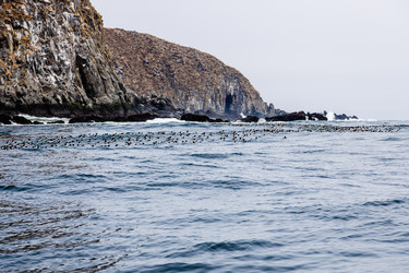 Similar image 22276420