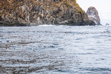 Similar image 22276033