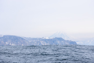 Similar image 22276034