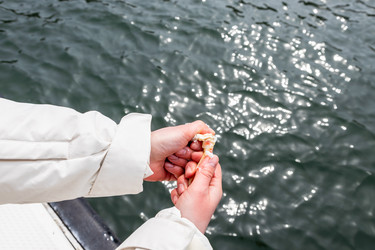 Similar image 22276040