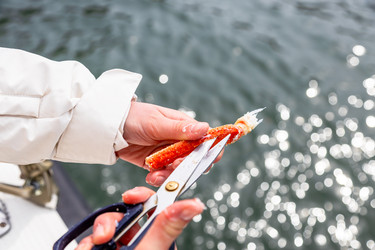 Similar image 22276041