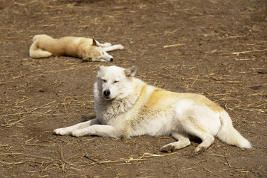 Similar image 22276050