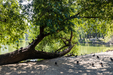 Similar image 22276052